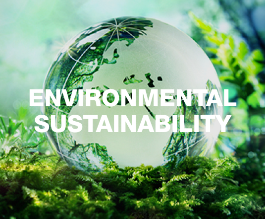 Learn more about environmentally responsible initiatives at TJX